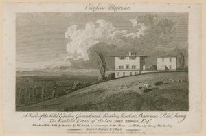 Battersea Rise, Surrey - English School