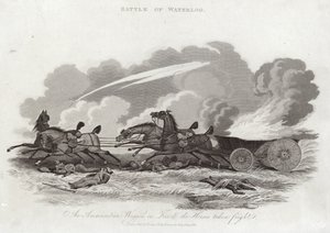 Bataille de Waterloo - English School