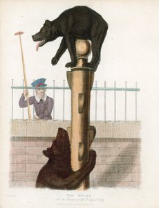 Fosse aux ours, jardins zoologiques de Londres, Regents Park - English School