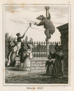 Fosse aux ours, jardins zoologiques de Londres, Regents Park - English School