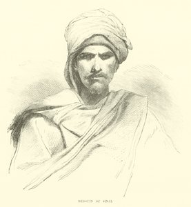 Bédouin du Sinaï - English School