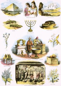Illustrations bibliques - English School