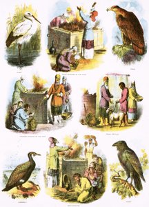 Illustrations bibliques - English School