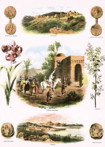 Illustrations bibliques - English School