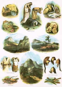Illustrations bibliques - English School
