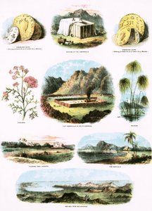 Illustrations bibliques - English School