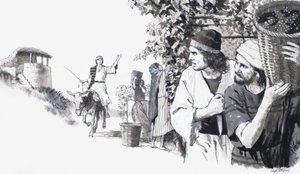 Vignoble biblique