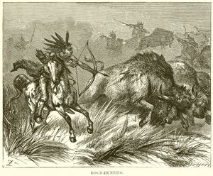 Chasse au bison - English School