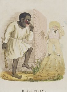 Épine noire, 1836 - English School