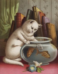 Blanchie et le poisson rouge - English School