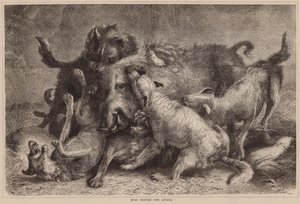 Chasse au sanglier, l
