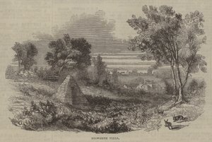 Champ de Bosworth - English School