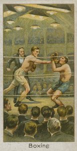 Boxe - English School