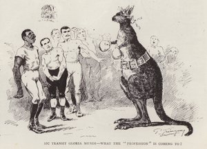 Kangourou boxeur - English School