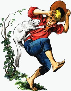 Garçon attaqué par un chat - English School