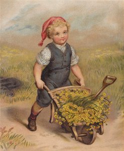 Garçon poussant une brouette pleine de fleurs - English School