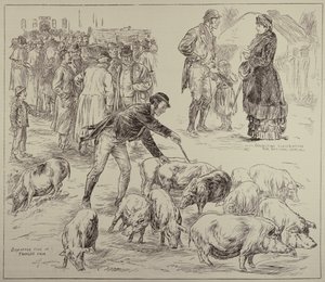 Boycott en Irlande, de The Illustrated London News, 4 octobre 1886