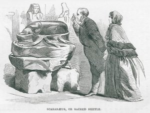 British Museum : Scarabée ou scarabée sacré (gravure) - English School