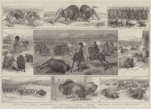 Chasse au bison dans les territoires de l