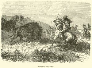 Chasse au bison - English School