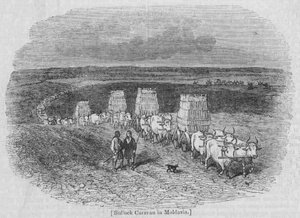 Caravane de bœufs en Moldavie - English School
