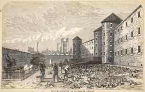 Cimetière à la prison de Millbank, illustration de The Criminal Prisons of London and Scenes from Prison Life par Henry Mayhew et John Binny, pub. 1862 - English School