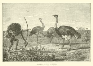 Bushman chassant des autruches - English School