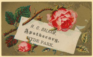 Carte de visite pour H G Balkam, apothicaire, Hyde Park