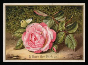 Papillon avec une rose rose, carte de vœux du Nouvel An (chromolithographie) - English School