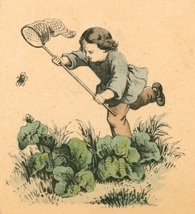 Papillonnage - English School