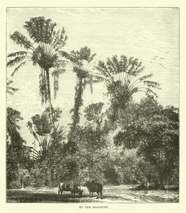 Au bord de la route - English School