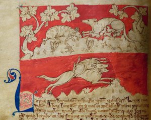 CCA-LitMs/D/10 fol. 4v Loup, du Bestiaire - English School