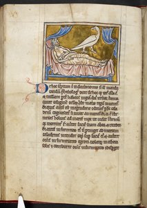 Oiseau Caladrius - Bestiaire, Royal MS 12 C XIX, f.47v - English School