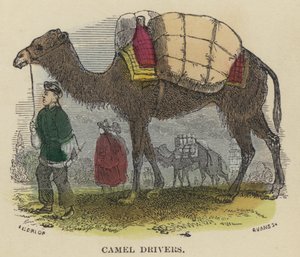 Conducteurs de chameaux - English School