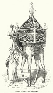 Chameau avec le Mahmal (gravure)