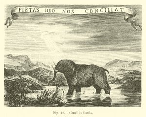 Camillo Caula - English School