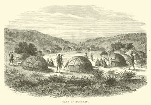 Camp de Bushmen - English School