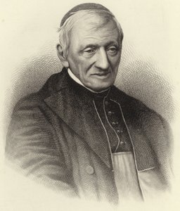 Cardinal Newman - English School