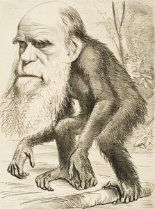 Caricature de Charles Darwin - English School