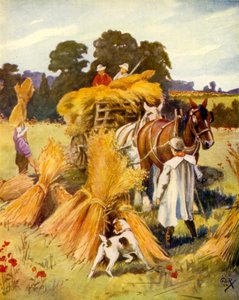Transport du maïs - English School