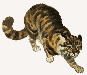 Chat