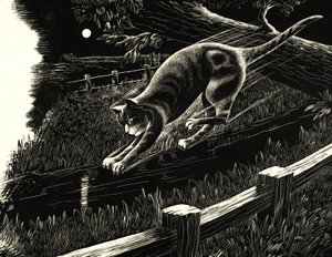 Chat sautant d