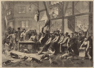 Course de chats à Liège - English School