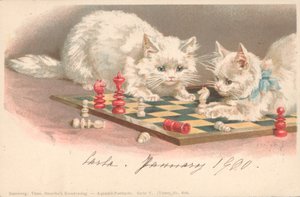 Chats jouant aux échecs - English School