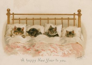 Chats dormant - English School