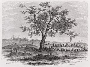 Cimetière et arbre sacré à Mbinda, de 