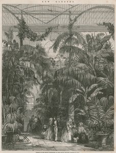 Centre de la grande maison des palmiers aux jardins botaniques royaux de Kew - English School