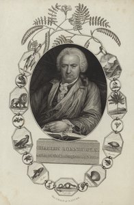 Charles Bonnet - English School