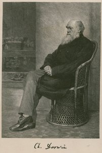 Charles Darwin - English School