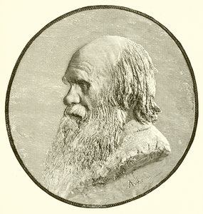 Charles Darwin - English School